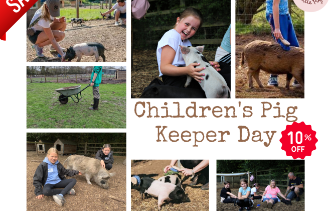 Children's Pig Keeper Day 2025