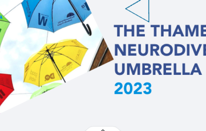 The Thames Valley Neurodiversity Umbrella Project 2023 Info session for Businesses