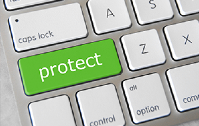 Protect your IP: How to report infringements