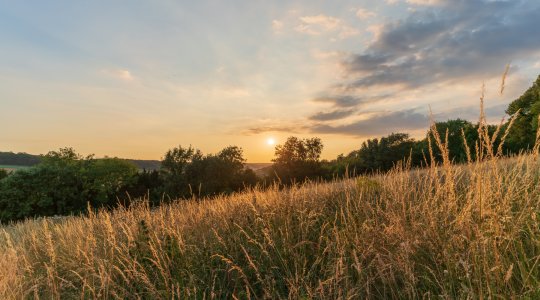 Support is here for rural businesses