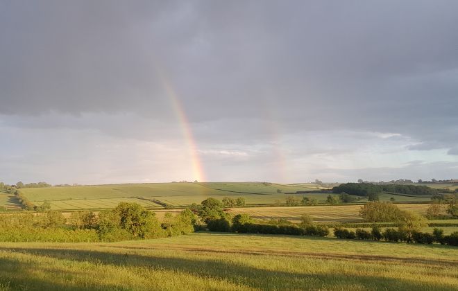 Corporate Nature Network Launch: Supporting Local Nature Recovery