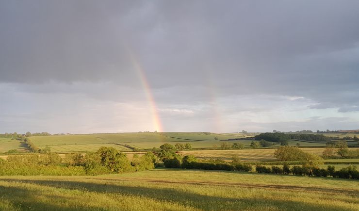 Corporate Nature Network Launch: Supporting Local Nature Recovery