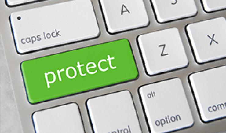 Protect your IP: How to report infringements