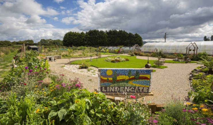 Drop-ins at Lindengate