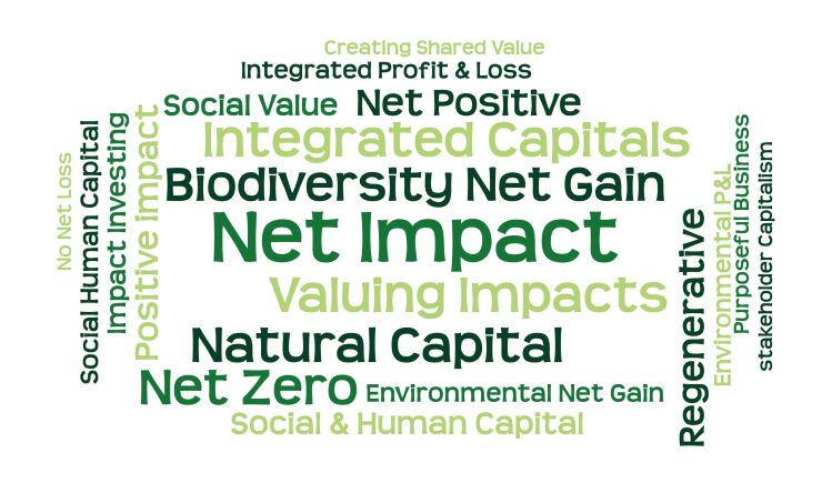 Net Impact Approaches: Measuring and comparing environmental and social impacts