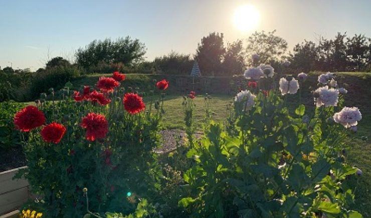 Rest & Reflect at Lindengate