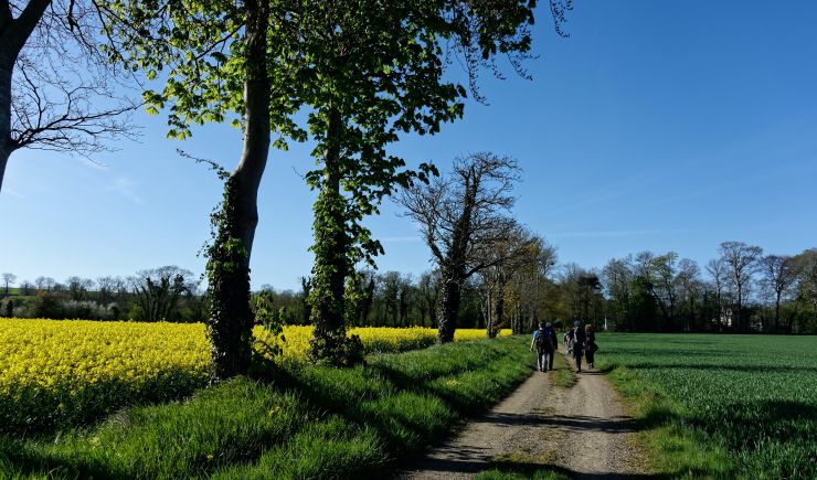 Walk and Talk, Saunderton - Nov 2021