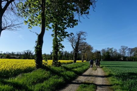 Have your say on Bucks Council's cycling and walking plan