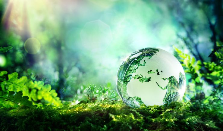 Climate Action Planning for SMEs