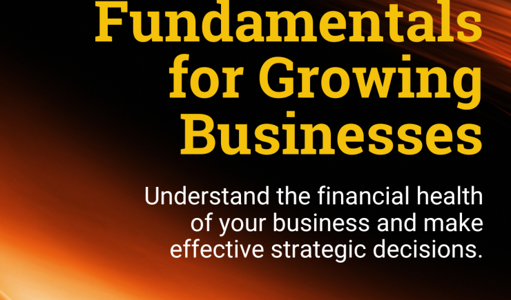 Finance Fundamentals for Growing Businesses