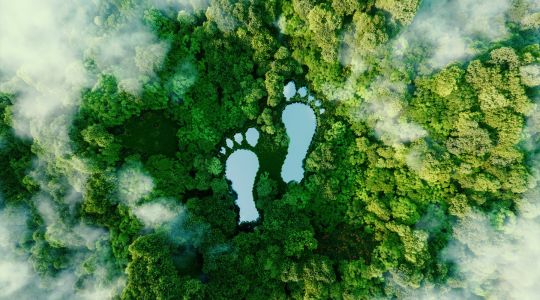 Attend a National Emergency Briefing on the climate crisis